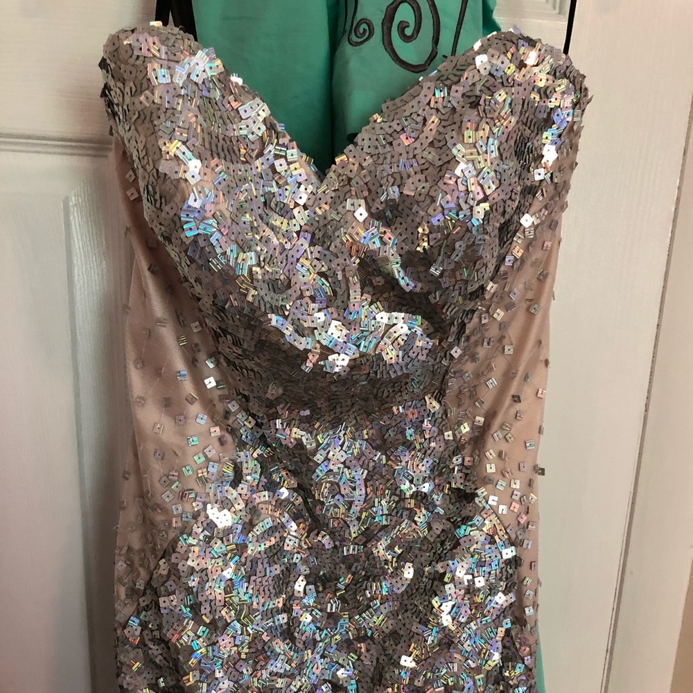 Beige with silver sequins Gown - Picture 5 of 6